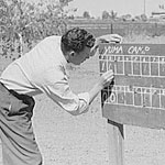 Scoreboard for Baseball Game