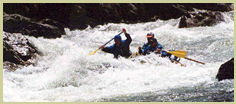 Selway River rafters