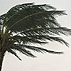 CDC Hurricanes website