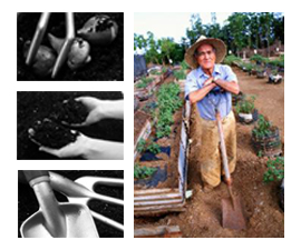 Farmworker Health - crops, dirt, tools, farmer