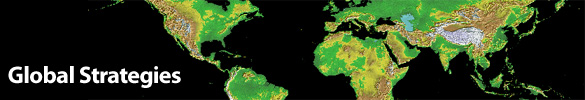 Global Strategies header image of the globe