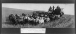 Harvesting in Washington