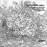HIV Molecular Immunology Database 1997