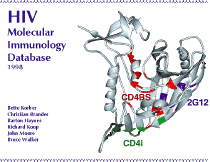 HIV Molecular Immunology Database 1998