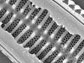 Photo of the diatom, <em>Stenopterobia curvula</em>.