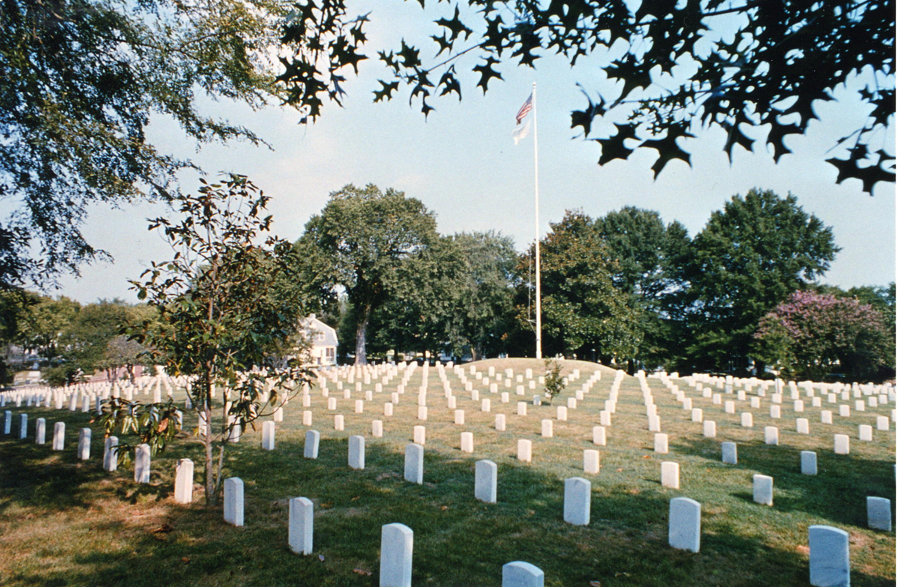 A photo of diagonal rows of upright headstones covering the entire lawn and a flag pole flying the American flag stands in the center.