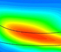 Computer simulation of the coupling between nutrient transport and uptake in the small intestine.