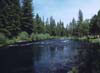 Thumbnail photo of Metolius River