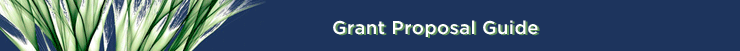 Grant Proposal Guide