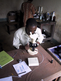 Laboratory technician in Tanzania performing microscopic diagnosis. The illumination source is a portable, battery-powered device.