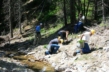 photo of people working on a slope adjacent to the creek.