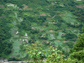 Photo of rural China showing agricultural development and fragmented forests.