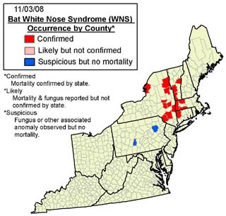 Bat white-nose syndrome occurrence by county in Pennsylvania, New York, Vermont, Massachusetts, and Connecticut 11-3-08