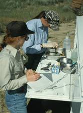Biologist sifting sediments for contaminant analysis.  Photo: USFWS/Pedro Ramirez, Jr.