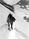 A horse going over a mountain pass