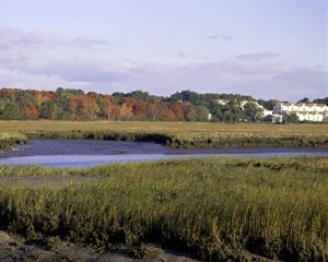 the Rachel Carson National Wildlife Refuge