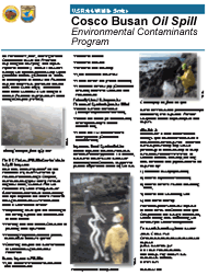 Thumbnail image of the cosco busan oil spill fact sheet