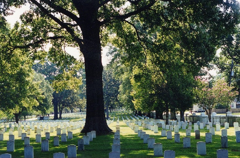 A picture of several rows of upright headstones with a large oak tree in the center at Baton Rouge's National Cemetery.