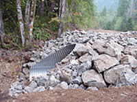 A culvert on a forest road.