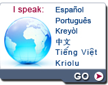 multilingual information