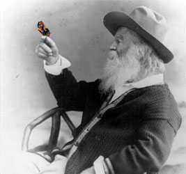 Walt Whitman holding a butterfly on his finger