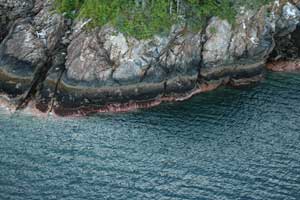 Lynn Canal shoreline, Southeast Alaska