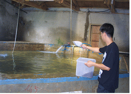 Fig 9. Aqua-farming system in ARC