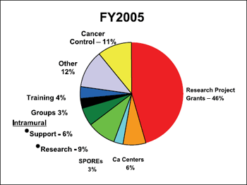 Figure 4. NCI budget allocation by mechanism in FY 2005.