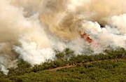 Coal Seam Fire, Glenwood Springs, Colorado,  June 2002