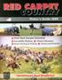 red_carpet_country_visitors_guide_2008