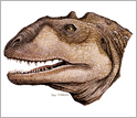 Illustration of head reconstruction of Majungasaurus, a Late Cretaceous dinosaur from Madagascar.