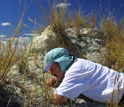 Photo of David Krause searching for tiny fossil mammal teeth in northwestern Madagascar.