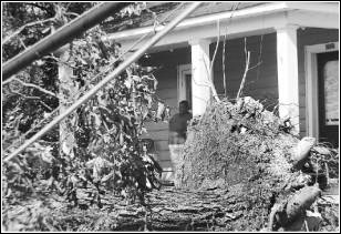 Image of person entering their home after a disaster with debris covering their property