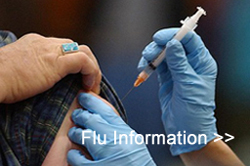 Flu Information