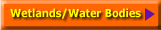 Wetlands/Water Bodies