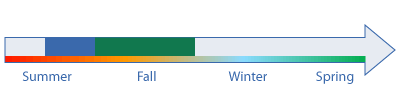 Grant Life Cycle Phase 1