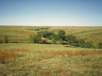 A rotation of pictures from various National Grasslands including scenes of the grasslands, wildlife, and livestock.