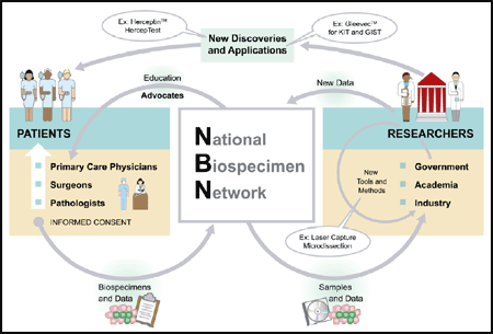 Figure 1-2. An Overview of the National Biospecimen Network
