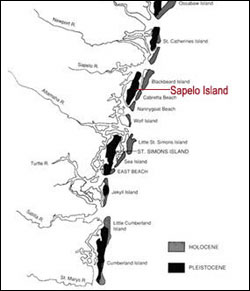 . The older and westward set of islands, the Pleistocene islands, sheltered Georgia's mainland beaches 40,000 to 60,000 years ago before the last great ice age. St. Simons, Sapelo, and Skidaway islands are examples. Source: Taylor Schoettle