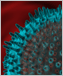 a computer rendering of a flu virus.