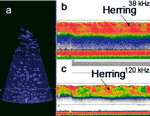 Comparison of DIDSON and traditional echosounder images