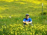 woman sitting in a field of yellow wildflowers.