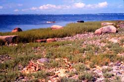 Narragansett Bay, Rhode Island