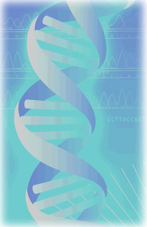 DNA Helix