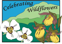 Colored Celebrating Wildflowers title graphic with wildflowers in the foreground upon a green mountain backdrop.