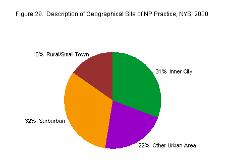 Chart titled: Figure 29.  Description of Geographical Site of NP Practice, NYS, 2000