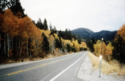 Highway 89 at Luther Pass displaying the fall colors of the aspen along the road.