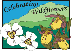 Colored Celebrating Wildflowers title graphic with wildflowers in the foreground upon a green mountain backdrop.