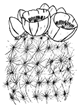 Drawing of a barrel cactus with blooms.