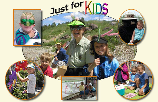 Collection of pictures showing kids with bug masks, sitting with Smokey Bear, and doing activities.